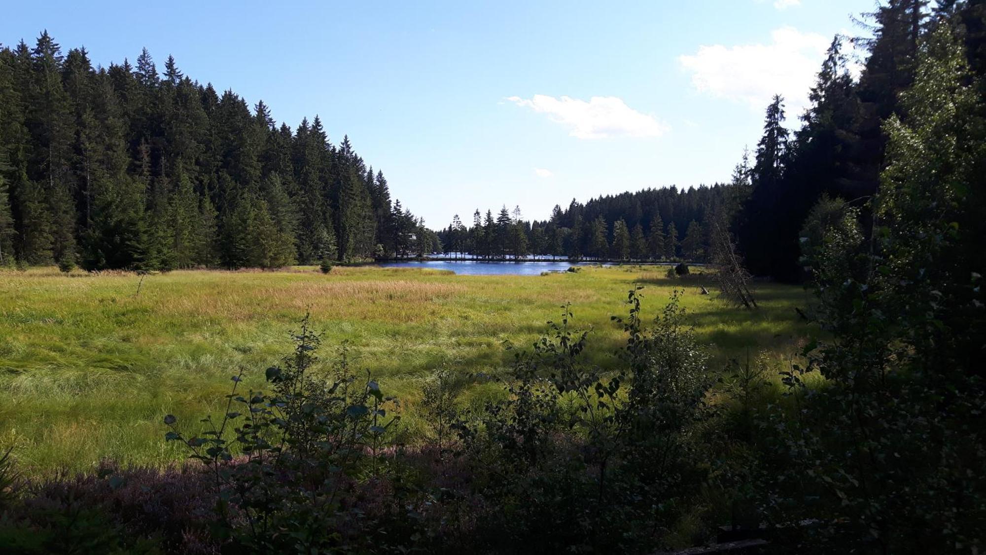 Ferienwohnung Im Bauernhaus Im Fichtelgebirge Gefrees Exterior foto